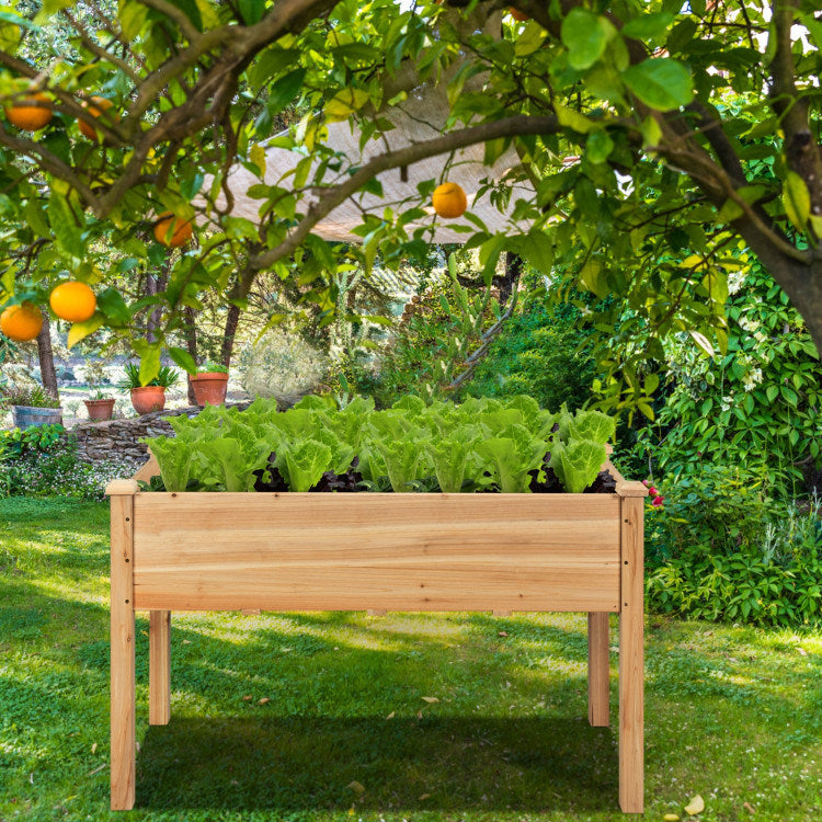 Wooden Raised Vegetable Garden Bed Elevated Grow Vegetable Planter Doba